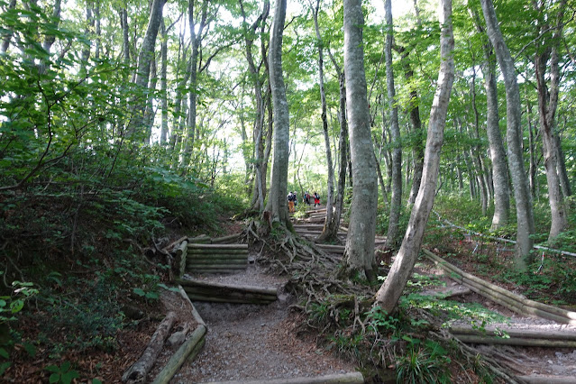 8月の大山夏山登山道