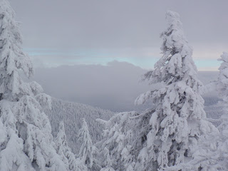 View from atop Mt Kit Carson