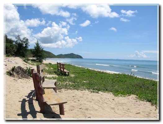 Bai-bien-bac-dao