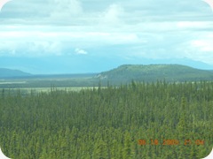 DSCN5492