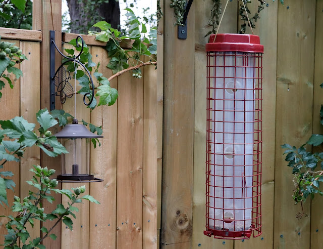 Squirrel Buster Plus Bird feeder