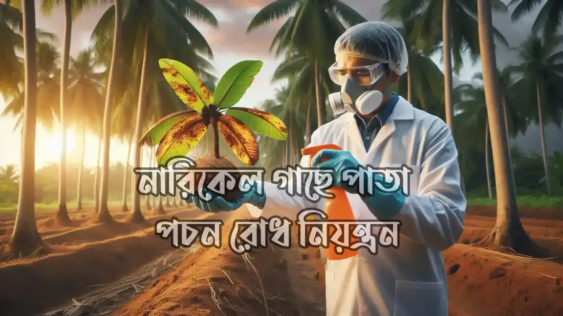 নারিকেল-গাছের-ফলন-বৃদ্ধির-উপায়