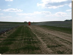 P5047415