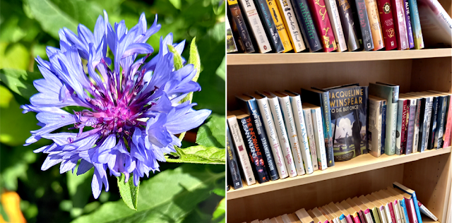 Flower and bookshelves