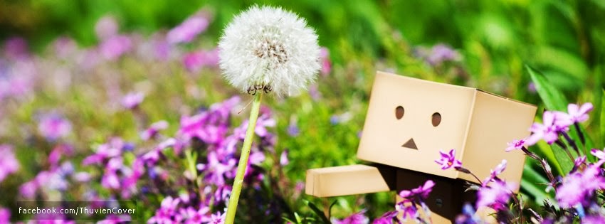 Ảnh bìa danbo đi hái hoa