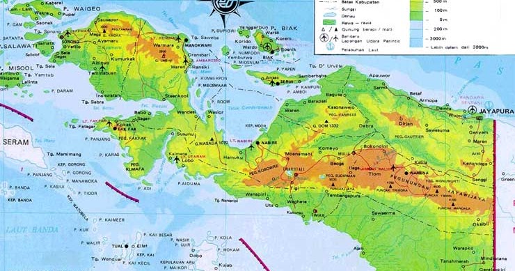 Kamus Dialek Papua + Istilah Sehari-hari ㋰ West Papua