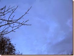 IMG_0005