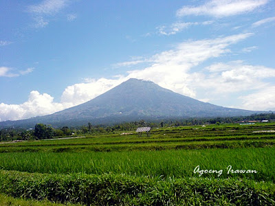 Gunung Sumbing