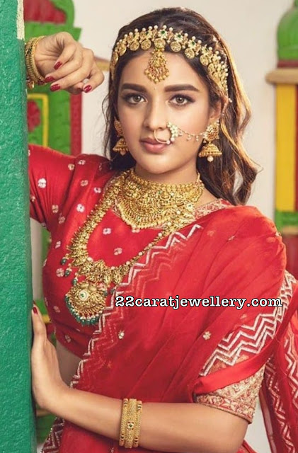 Niddhi Agerwal Lakshmi Choker