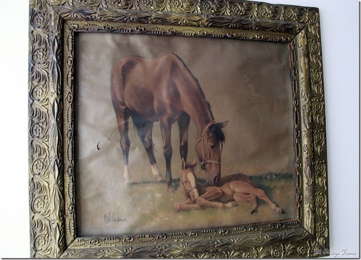 horses