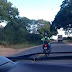 Vídeo mostra o acidente em que um motociclista morreu no trecho, veja