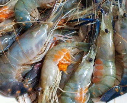 Anim Agro Technology Ternak Udang Galah Satu Catitan