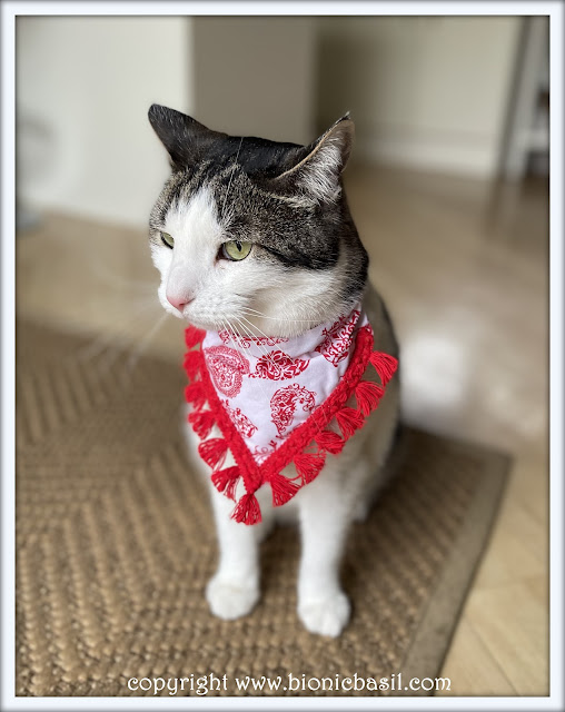 The BBHQ Midweek News Round-Up ©BionicBasil® Melvyn Modelling Red heart with red tassels Bandana
