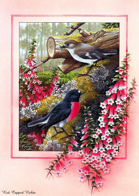 http://www.funmag.org/pictures-mag/art-gallery/beautiful-birds-paintaings/
