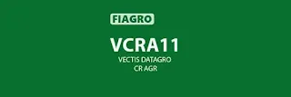 VCRA11 - VECTIS DATAGRO CR AGR Análise Completa, Rentabilidade e Tendências