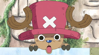 ワンピース アニメ 空島 スカイピア 159話 チョッパー Tony Tony Chopper | ONE PIECE Episode 159 Skypiea