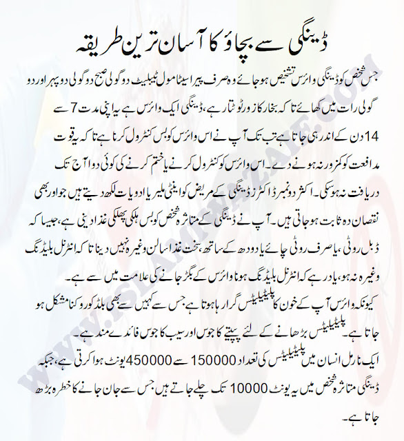 Dengue Awareness In Urdu