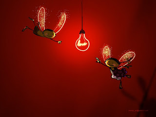Firefly Love High Resolution Wallpapers