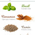 Spices That Heals Diseases - Home Remedy Tips