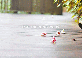 VẤN VƯƠNG ĐẾN CHẾT
