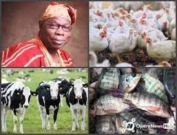 Top 10 Largest Farm in Nigeria you would love to Visit