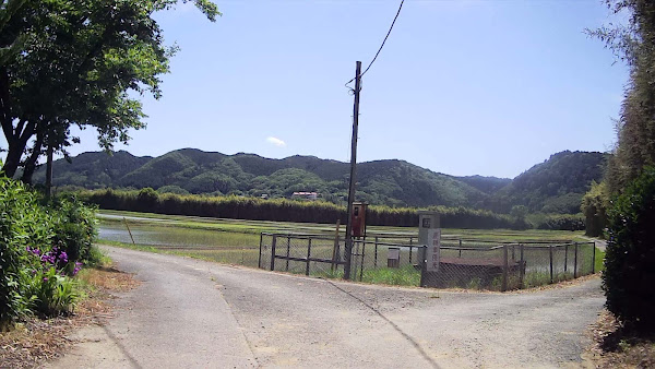 那珂川左岸に向かいそうな農道