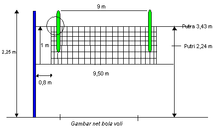 Ukuran Lapangan Bola Voli - Pendidikan