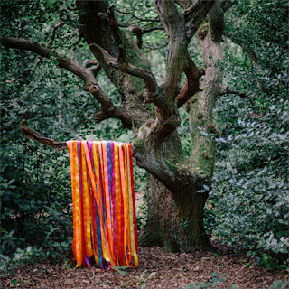 MP3 download James Holden & The Animal Spirits - The Animal Spirits itunes plus aac m4a mp3