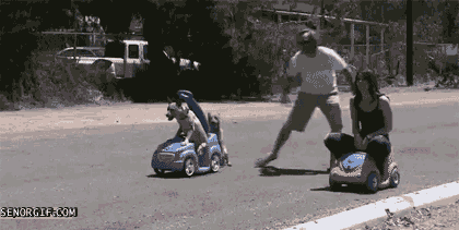 Race-for-the-Finish-Kangaroo-Dog-Gif-Race-for-the-Finish-Kangaroo-Dog