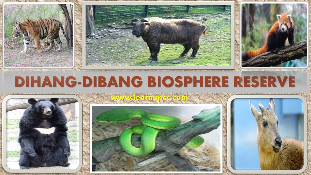Dihang-Dibang Biosphere Reserve