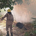 Operação Aceiro 2024: Corpo de Bombeiros combateu 560 focos de incêndios em um mês