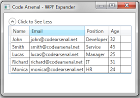 Expanded WPF Expander with style and DataGrid inside of it