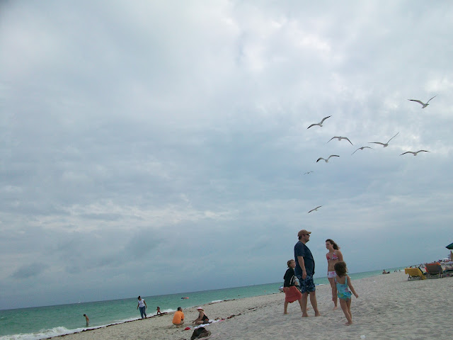 stormy,seagulls,Beach