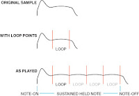 Piano sample loop points