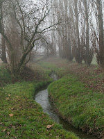 Torrent de la Font de la Teuleria