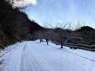 百々ヶ峰 休憩