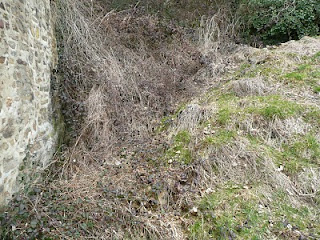 Refuge LPO : Ligue pour la Protection des Oiseaux - GRETIA - VivArmor Nature - Les Jardins de Noé : Talus