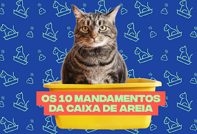 Os 10 mandamentos da caixa de areia