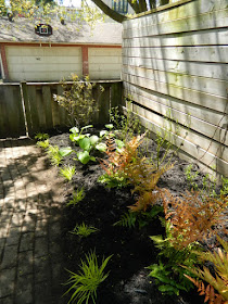 Riverdale Backyard Garden Makeover After by Paul Jung Gardening Services--a Toronto Gardening Company