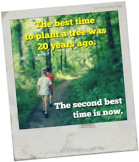 The best time to plant a tree was 20 years ago. The second best time is now.