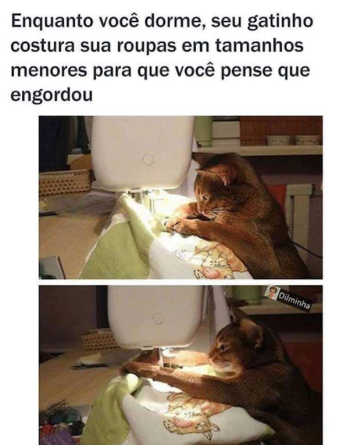 memes engraçados