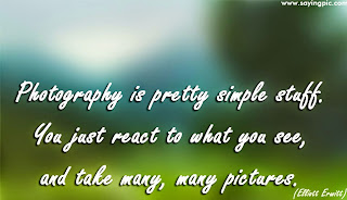Photography Quotes6