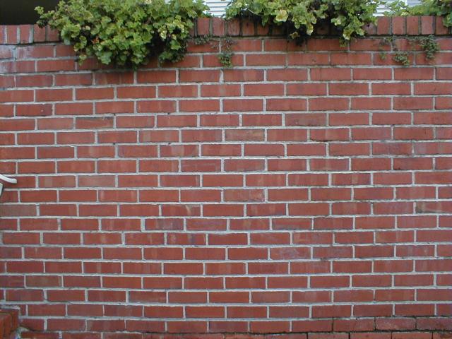 Brick Wall Designs2