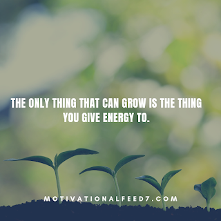 The only thing that can grow is the thing you give energy to.