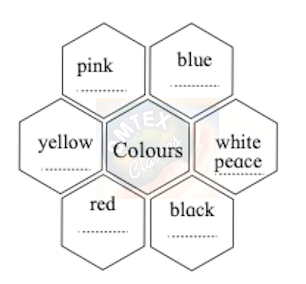 Colours mentioned in the hexagons given below are associated with something or the other. Discuss with your partner and fill in the blanks.