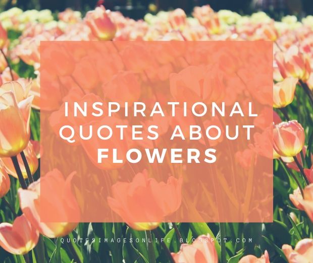 70+ Inspirational Quotes about Flowers with Images - Life, Love