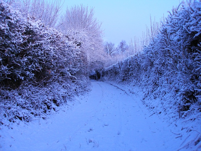 2nd_january_2010