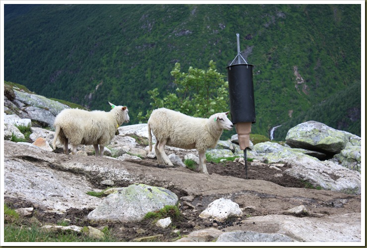 Leikanger 081