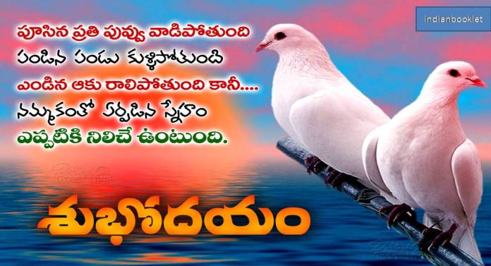 310 Good Morning Telugu Images With Quotes 2020 Wishes Sms