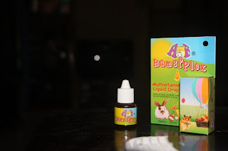 obat hamster, hamsflex